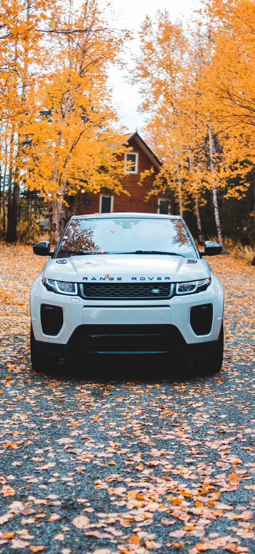 White Range Rover on a leaf-strewn gravel driveway beside a wooden cabin during peak autumn season in a forest.