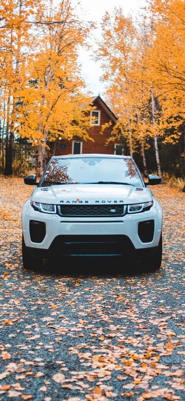 White Range Rover parked among fall foliage near cabin