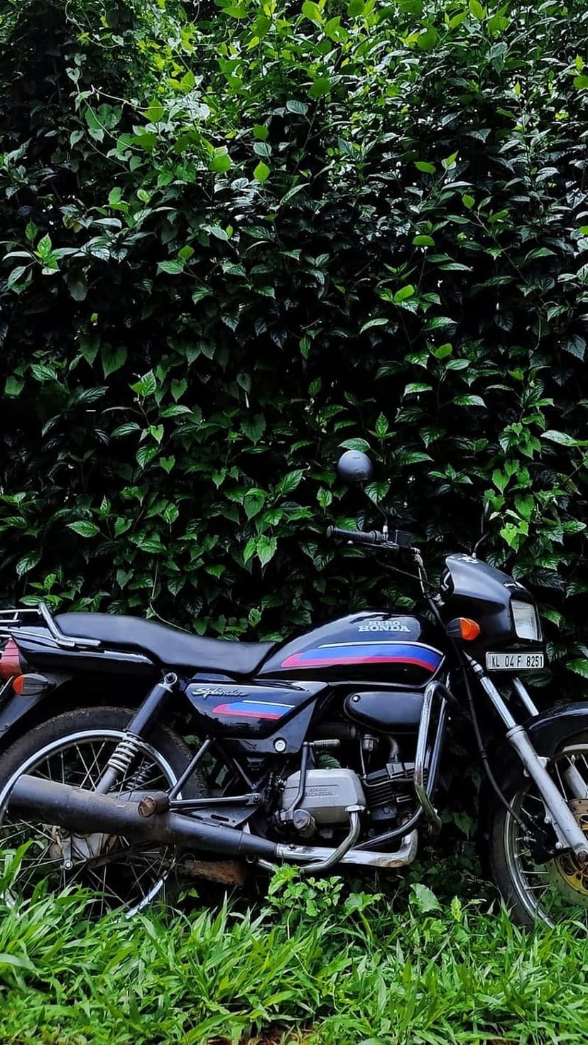 Honda Splendor motorcycle in black with red accents parked within a dense wall of vibrant green leafy foliage.