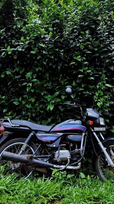 Honda Splendor Motorcycle Greenery Mobile Background
