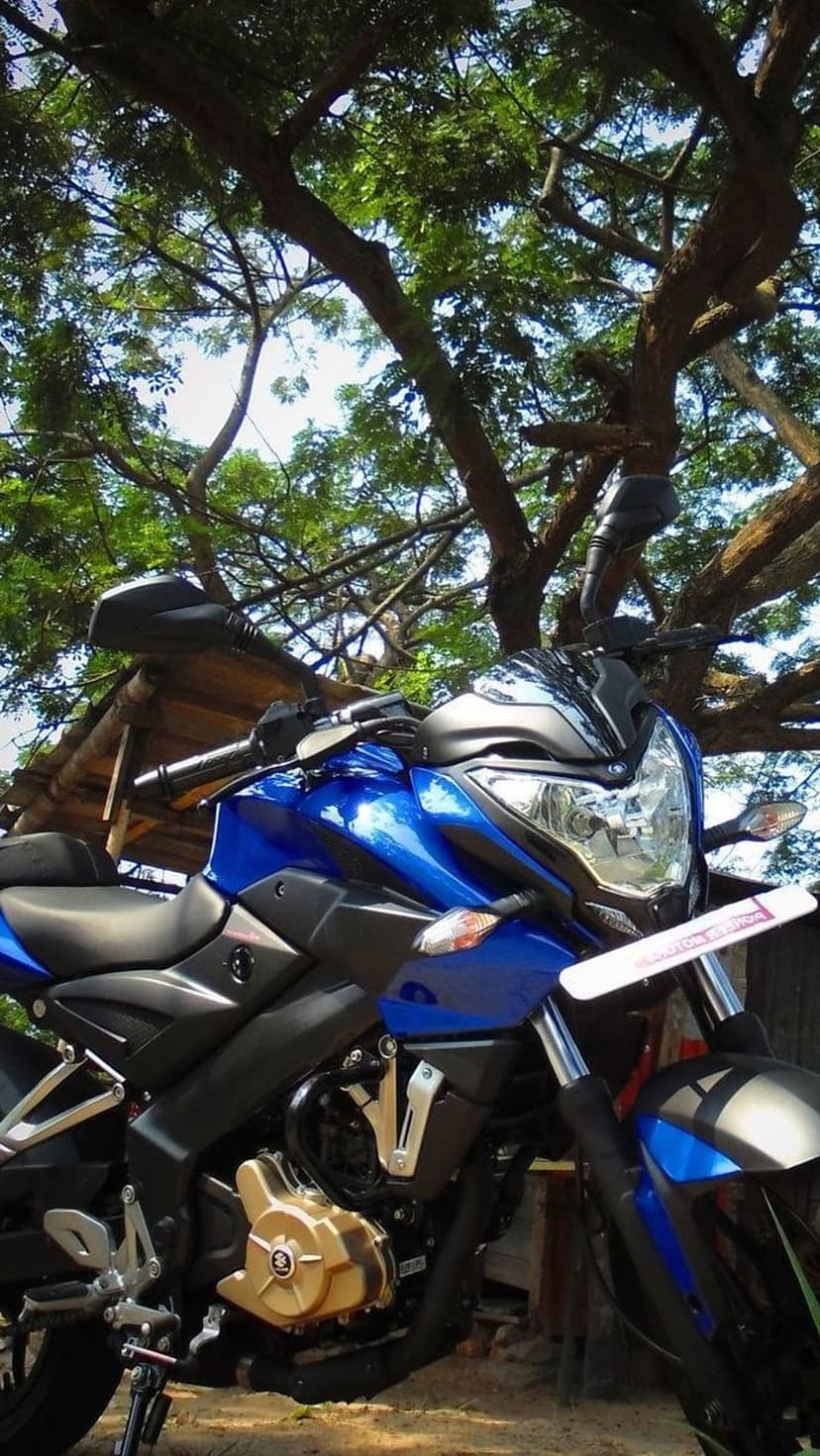 Blue motorcycle with a gold engine parked under leafy branches in front of a rustic wooden building.