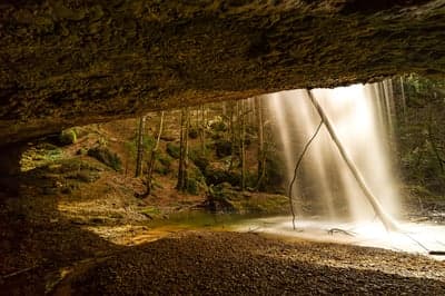 Secluded Forest Waterfall Cave Mobile Screen Background