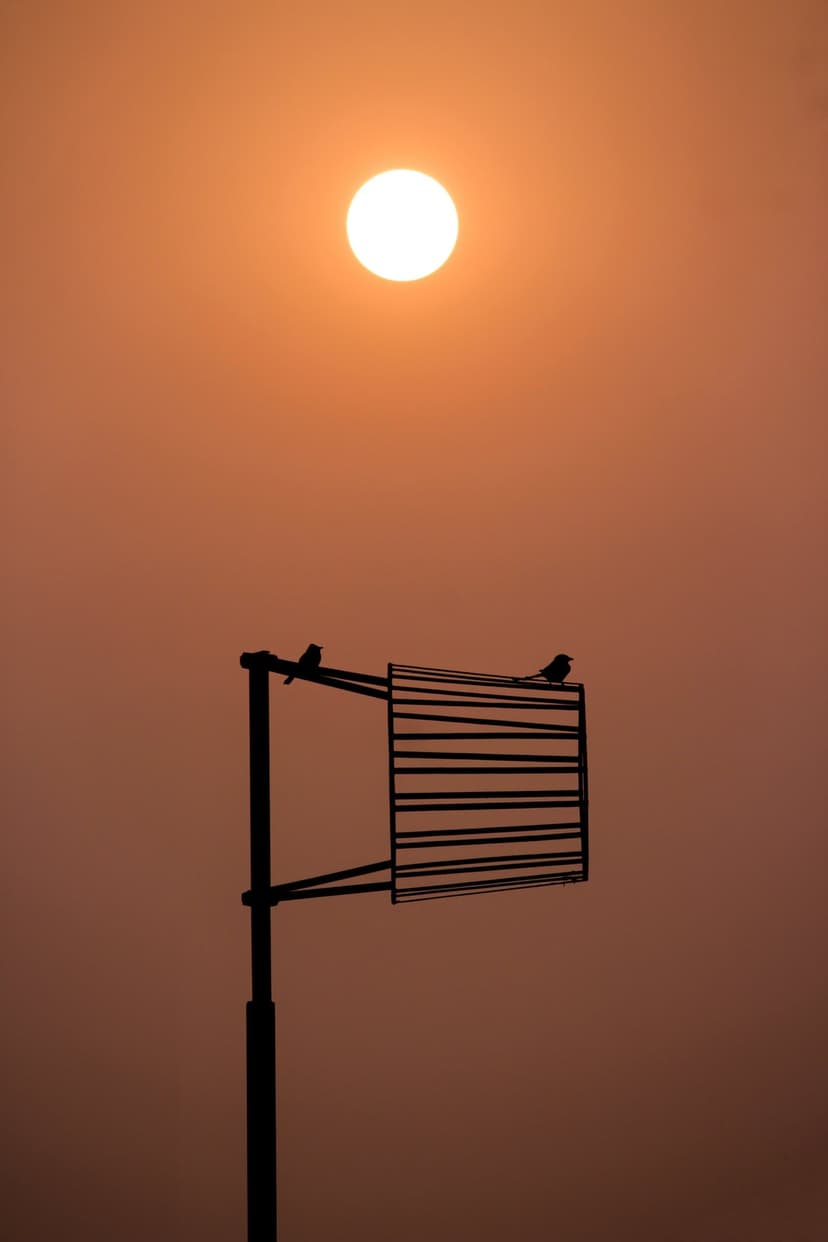 Two bird silhouettes perched on a wire against a massive, bright orange sun during a vibrant golden hour sunset.
