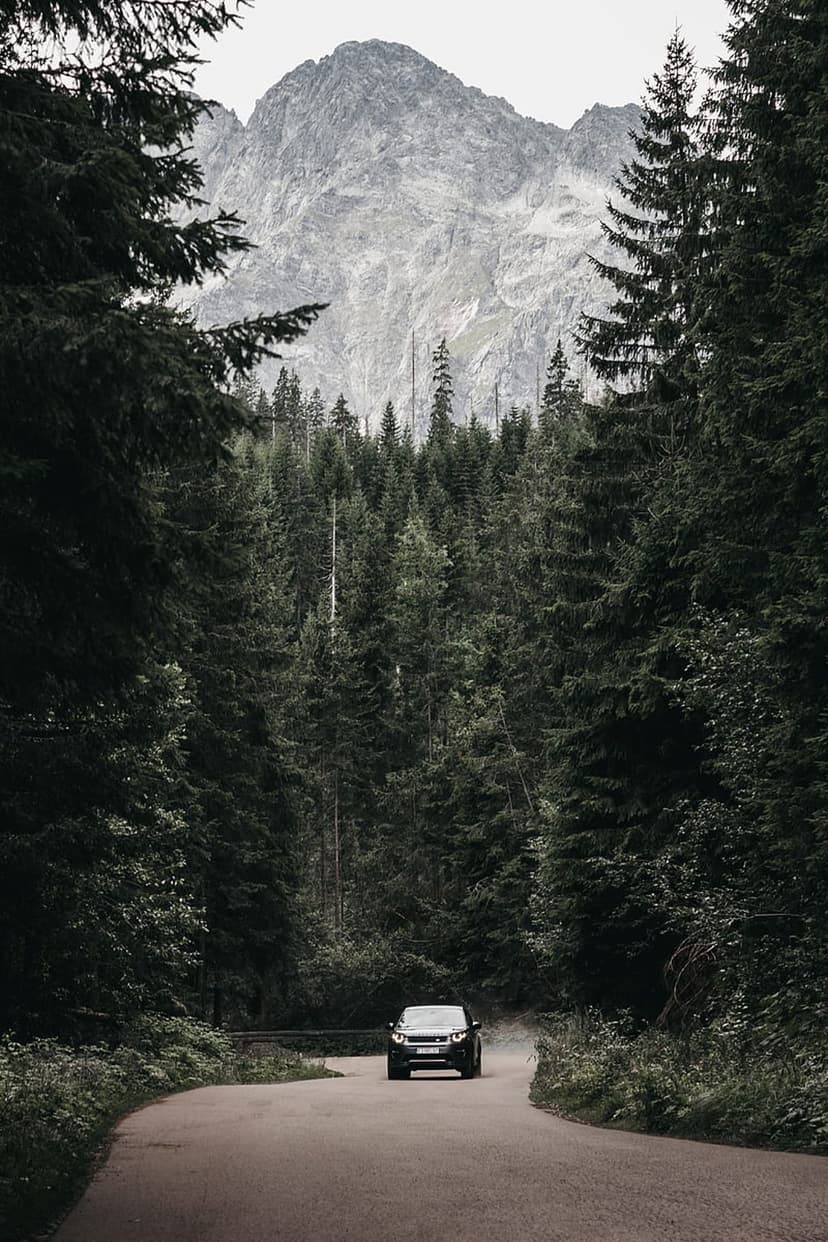 Dark SUV navigates a winding road through a dense pine forest toward a jagged, snow-dusted mountain summit.