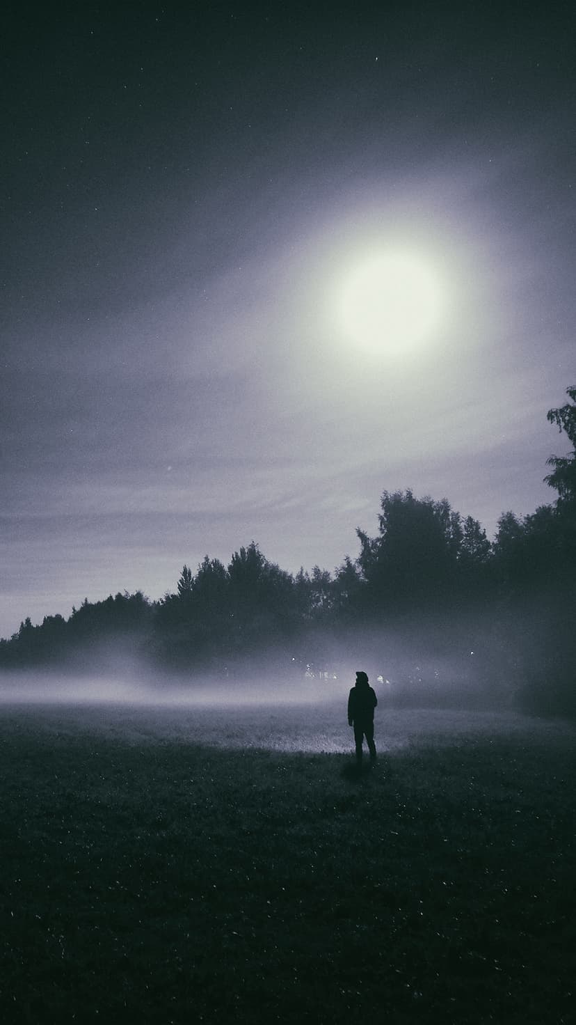 Lone person standing in a misty meadow under a bright lunar glow with a dark treeline in the distant background.