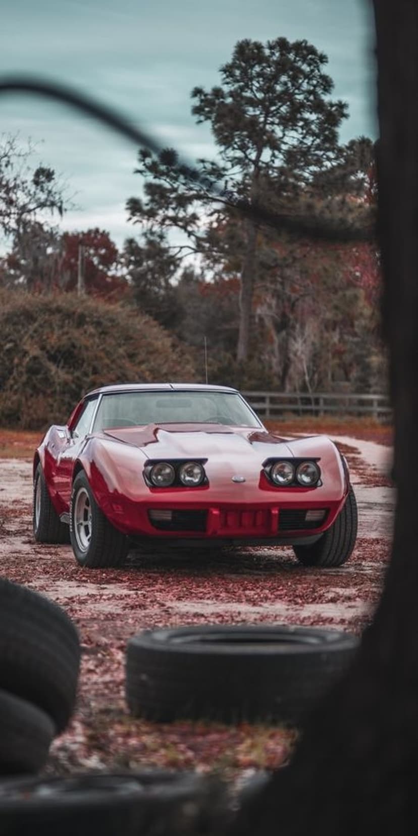 Red Corvette Stingray parked on gravel under dark tree branches with scattered autumn leaves on the ground.