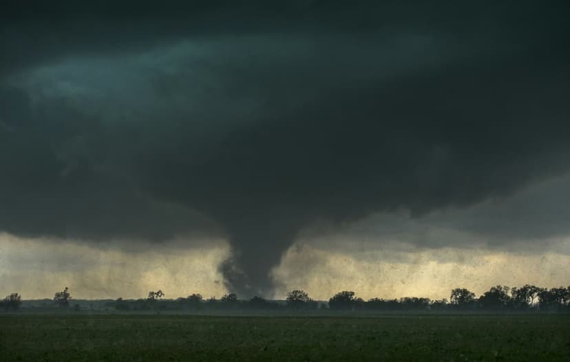 Massive dark tornado funnel touching down in a green field under a heavy storm sky with silhouetted trees.