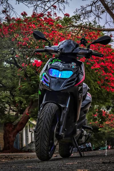 Black scooter with vibrant red flowers and blue headlights