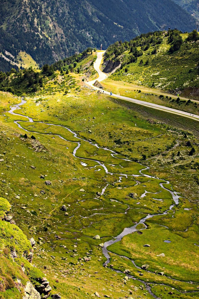 Winding stream flows through a vibrant green mountain valley next to a paved road under a bright, clear sky.