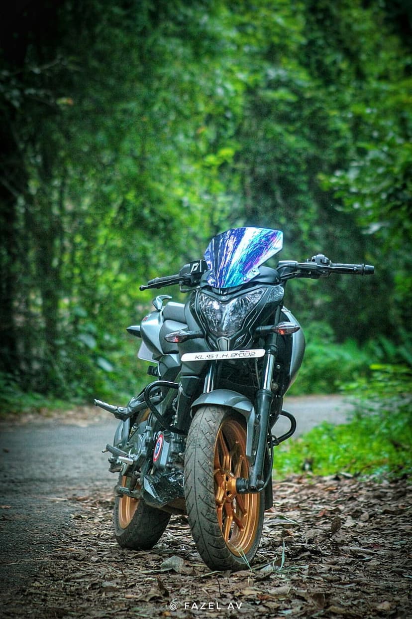 Sportbike with a blue windscreen and gold wheels parked on a dirt path surrounded by dense green forest.