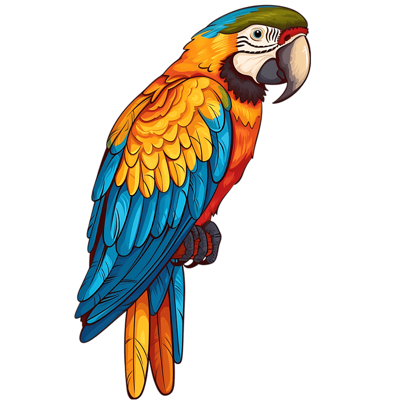 Blue-and-yellow Macaw parrot illustration shows detailed feathers and a sharp beak against a dark background.