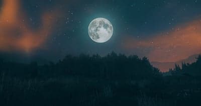 Full Moon Over Serene Forest Landscape at Night
