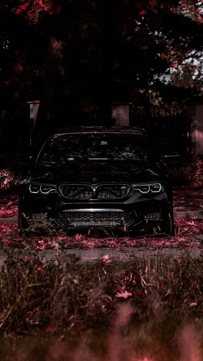Black BMW M5 with glowing headlights parked on red fallen leaves in a dark, atmospheric forest setting.