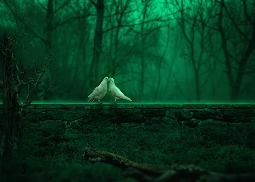 White doves perched on a mossy stone wall in a dark, foggy forest with silhouetted trees and soft, ambient light.