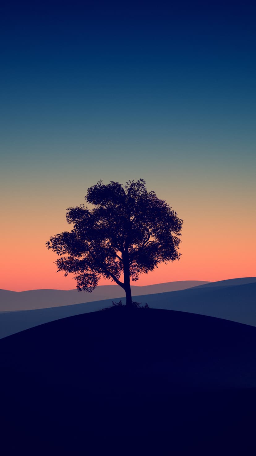 Lone tree silhouette stands on a rolling hill under a blue and orange sunset gradient sky with distant ridges.
