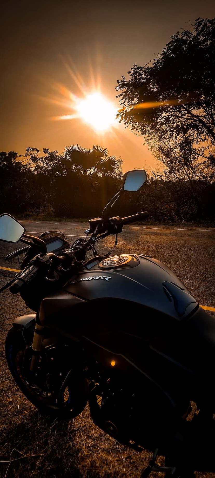 Motorcycle parked on a road at sunset with golden light hitting the body against a silhouette of dark trees.
