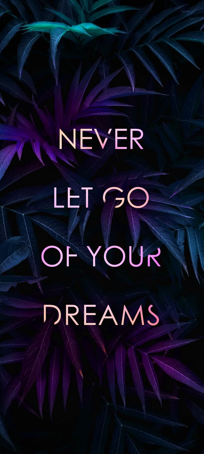 Never Let Go of Your Dreams quote in gradient font over dark purple and teal tropical jungle leaves.