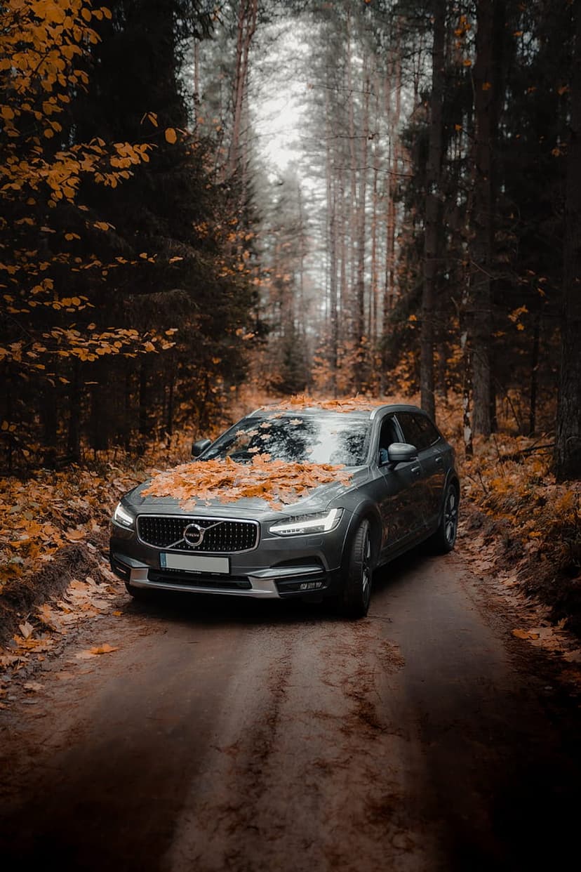 Volvo SUV covered in orange maple leaves on a misty forest road, showcasing automotive autumn aesthetic.