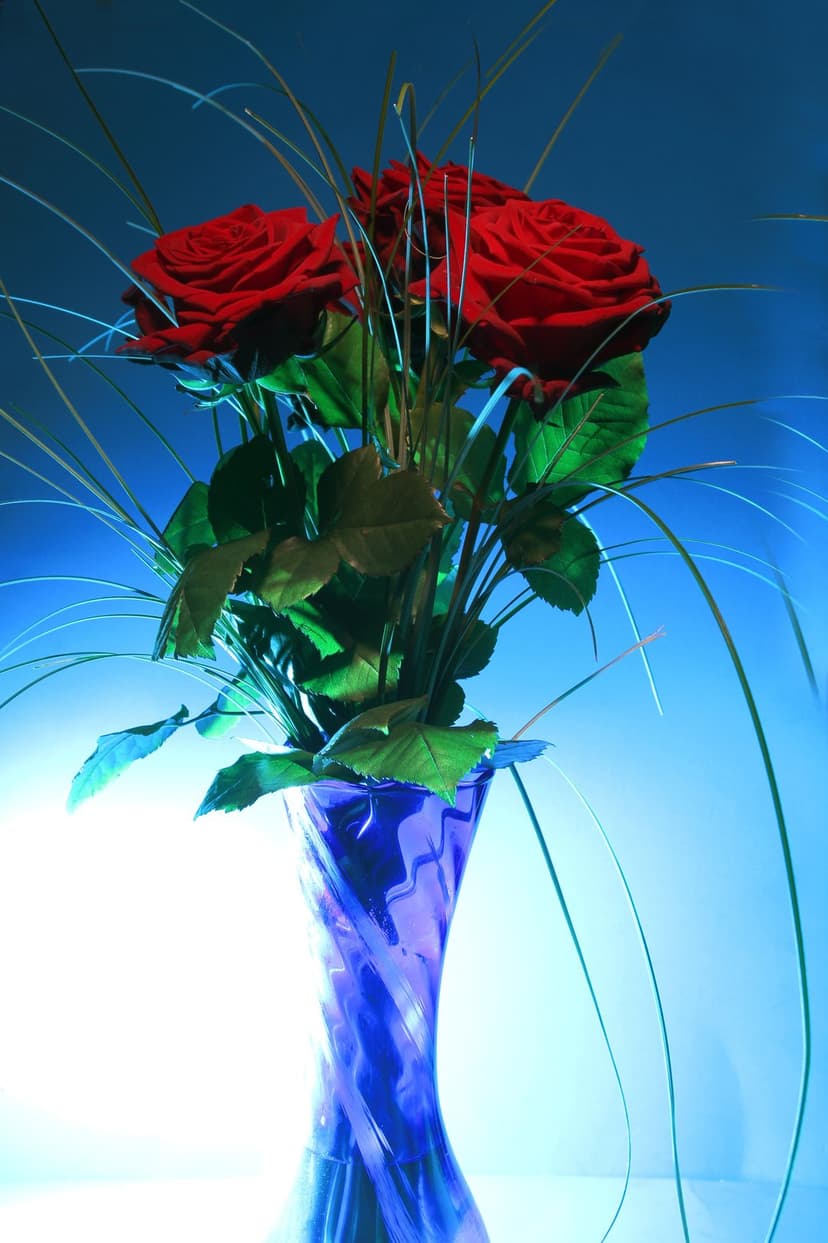 Deep red roses and green grass sprigs stand in a blue swirled glass vase against a soft studio backdrop.