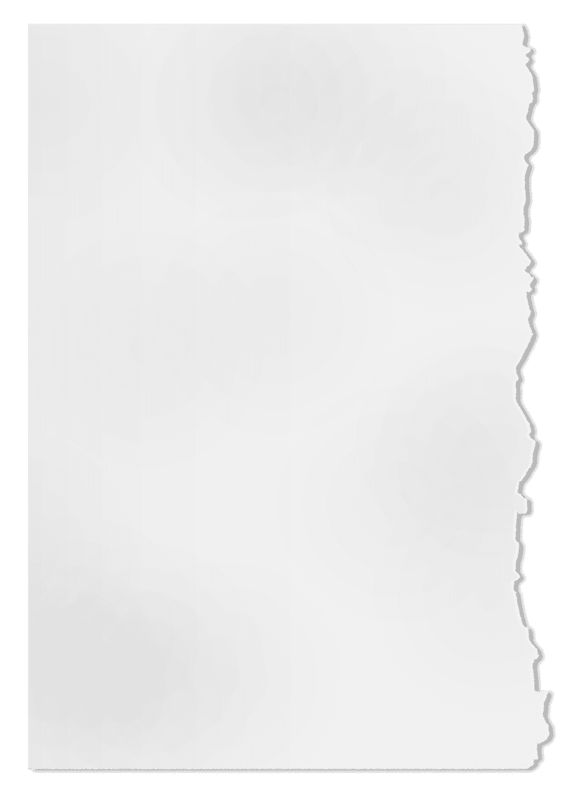 Torn paper edge featuring jagged white fibrous margins and realistic paper pulp textures over transparent space.