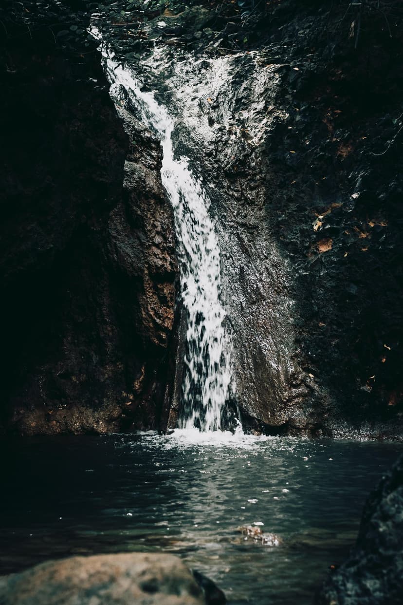 Slender waterfall cascades into a dark pool surrounded by mossy rocks and deep shadows in a forest grotto.