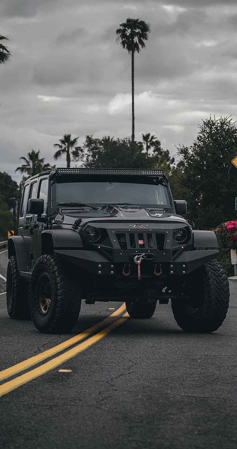 Black Jeep Wrangler with a winch and LED bar sits on a road lined with palm trees under a dark cloudy sky.
