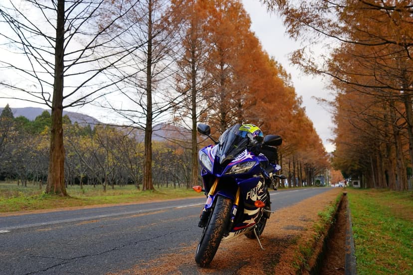 Blue sport motorcycle parked on an asphalt road surrounded by a dense tunnel of orange and yellow autumn trees.