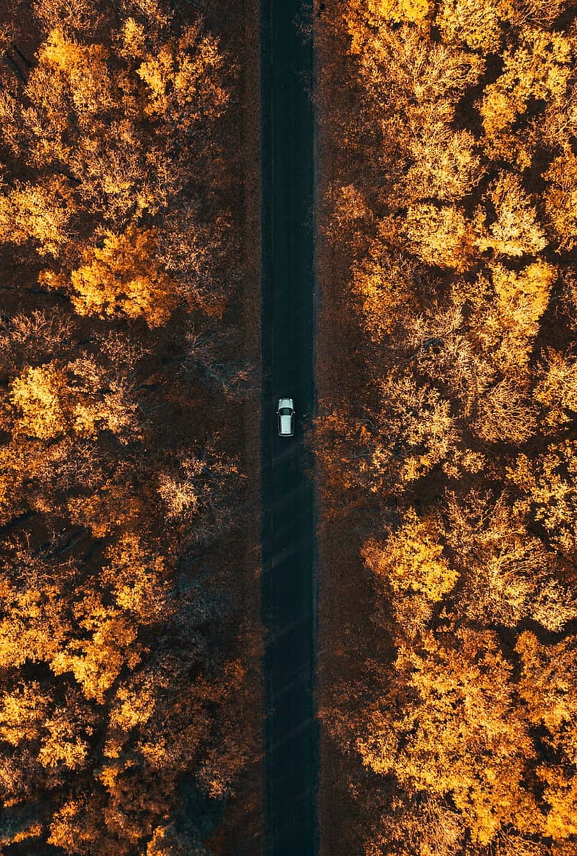 White car driving on a dark road centered between dense orange and yellow autumn trees from a top-down view.