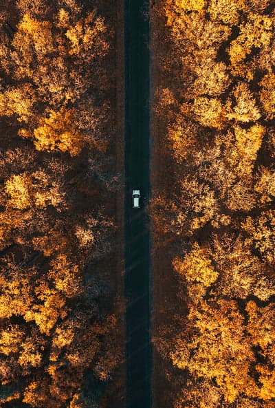 Drone view of car on autumn road through forest