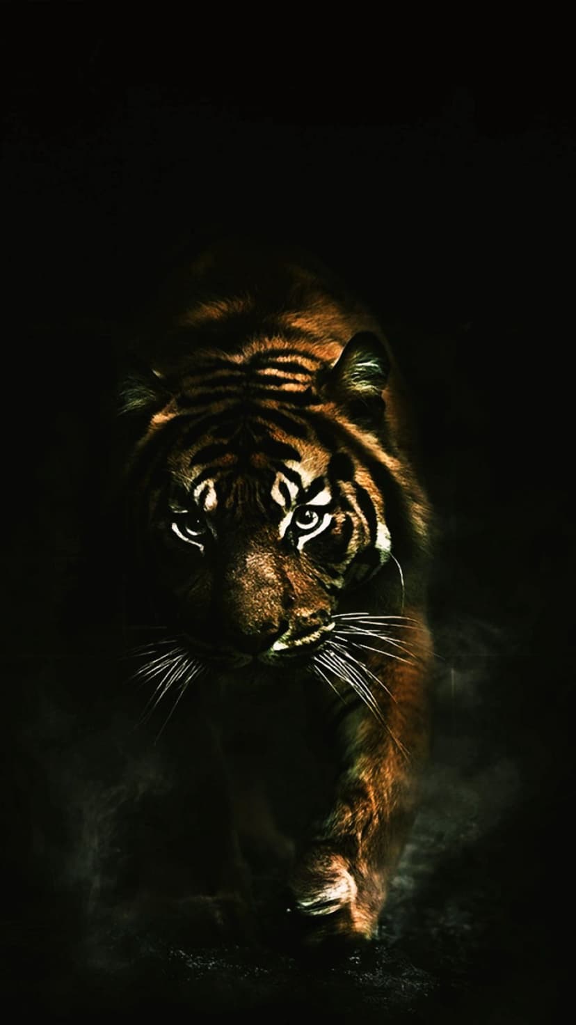 Tiger with glowing amber eyes and orange stripes emerges from a black background in a vertical close-up portrait.