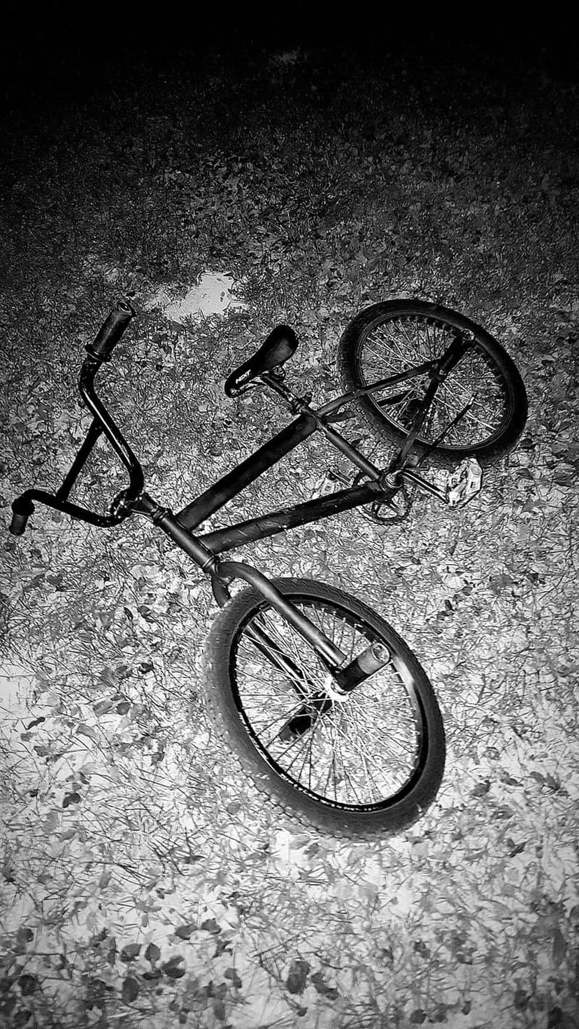 BMX bike rests diagonally on leaf-strewn pavement at night in a high-contrast black and white urban setting.