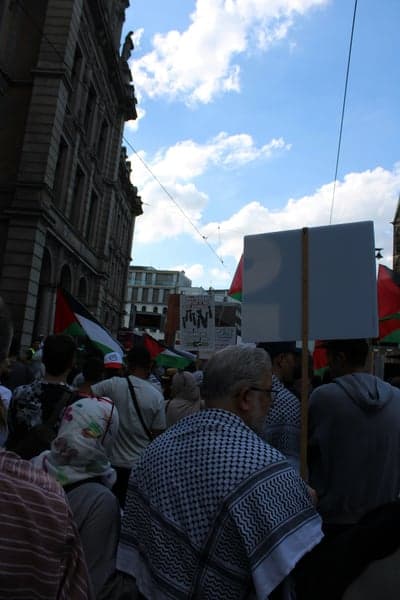 Protesters with Palestinian flags in city street