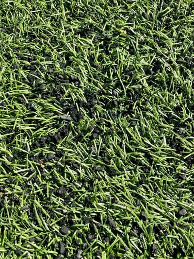 Artificial turf with black infill, close-up