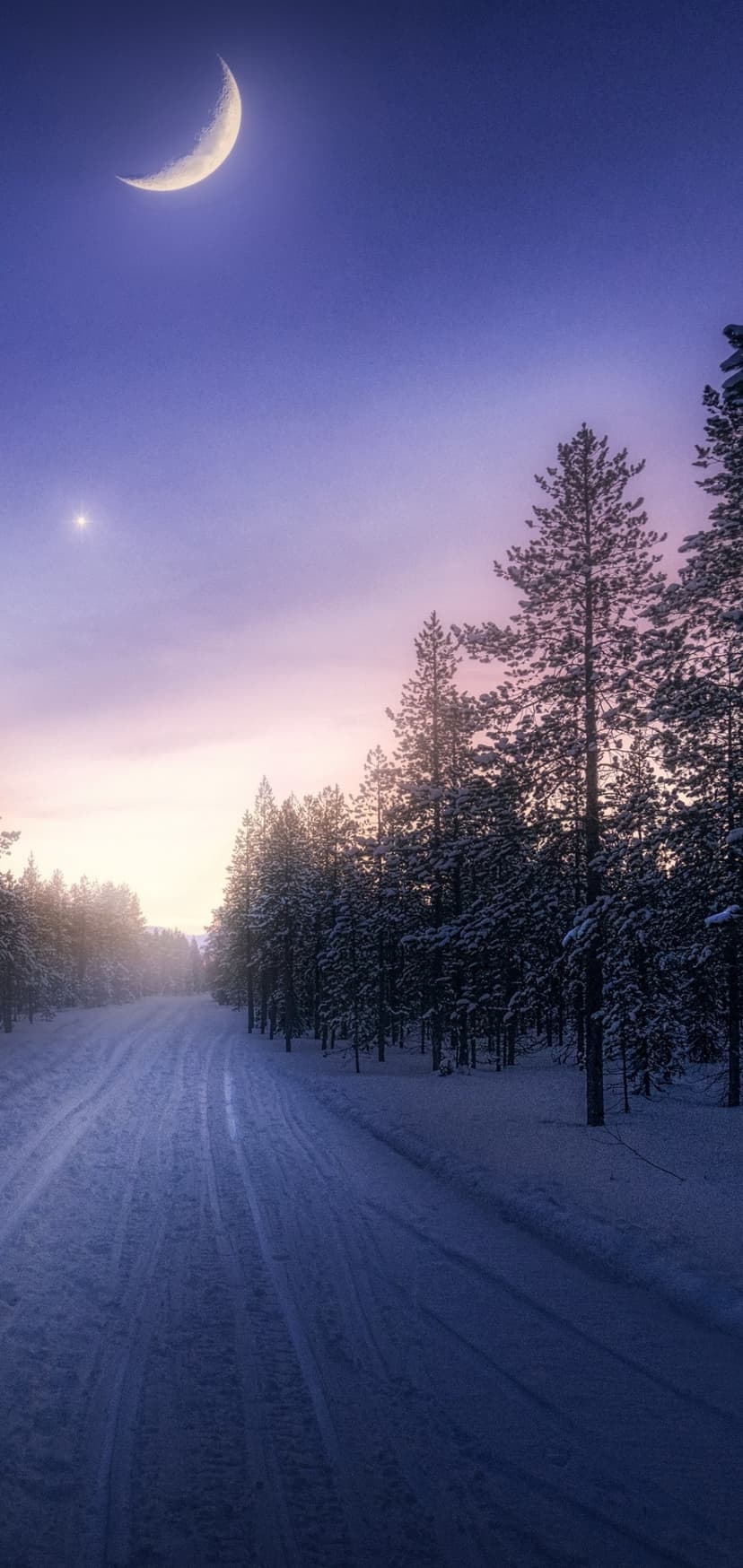 Frosted pine trees line a snowy road beneath a crescent moon and bright star in a deep blue twilight sky.