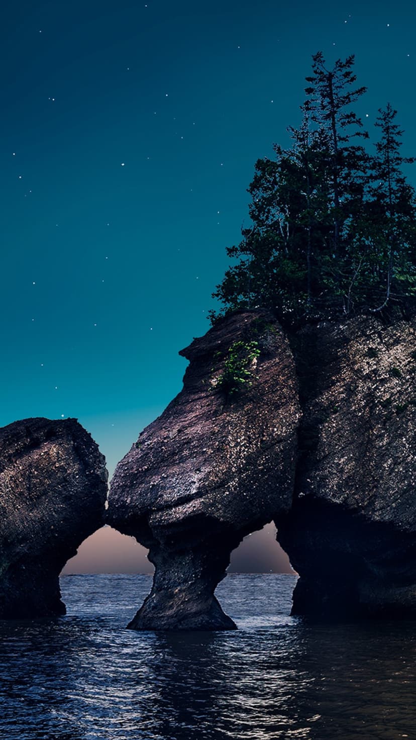 Hopewell Rocks sea stacks with stone arches under a starry dark blue night sky and calm coastal waters.