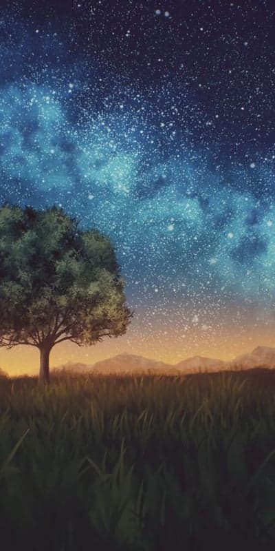 Ephemeral Sky - Lone Tree Under a Galaxy of Stars