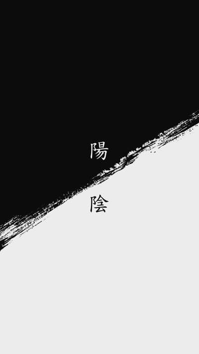 Yin Yang Symbol with Chinese Calligraphy