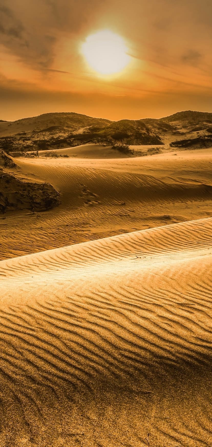 Rolling sand dunes feature rippled patterns and deep shadows under a low sun in a vast, arid desert landscape.