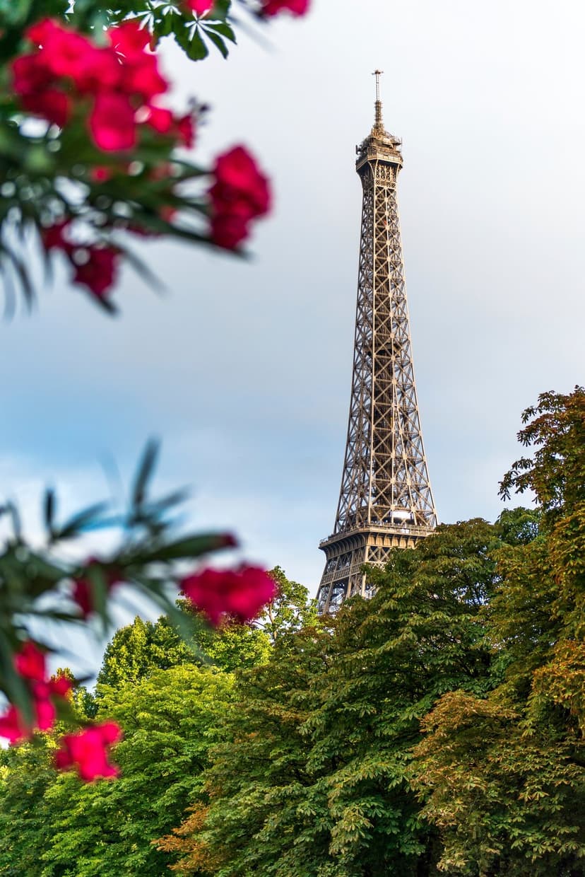 Eiffel Tower viewed through a natural frame of bright pink flowers and leafy green trees in a vertical layout.