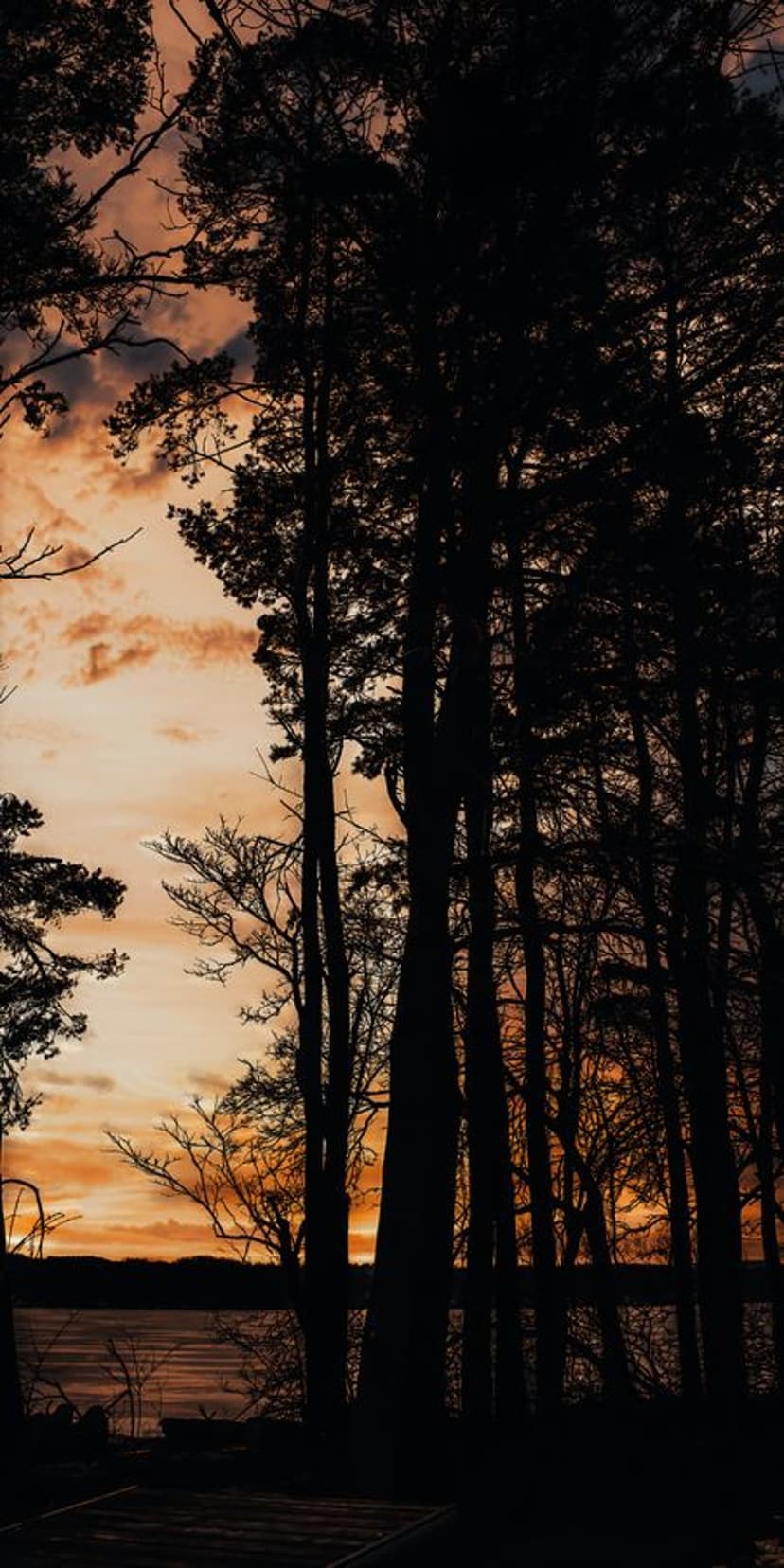 Dark tree silhouettes border a tranquil lake under a vibrant orange and purple sunset with scattered clouds.