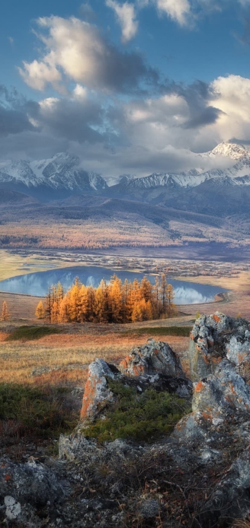 Snow-capped Altai peaks tower over a reflective glacial lake surrounded by vibrant yellow autumn larch forests.