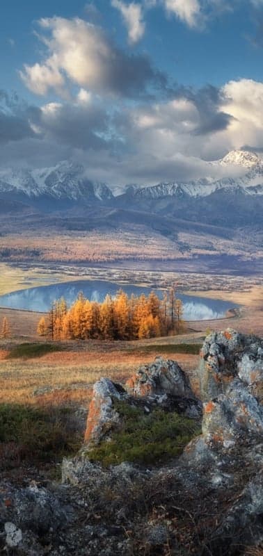 Autumn in the Altai- Golden Trees and Snowy Peaks