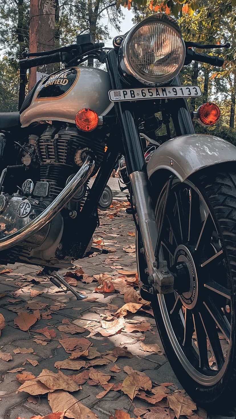 Silver Royal Enfield motorcycle with a round headlight parked on a sidewalk covered in dry autumn leaves.