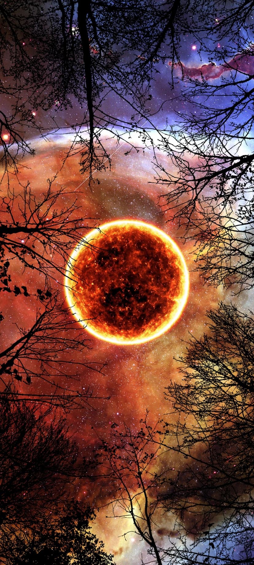 Glowing orange sun centered within a vibrant cosmic nebula behind dark, silhouetted tree branches in deep space.