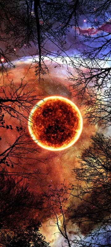 Fiery Sun Through Silhouetted Trees in Cosmic Nebula