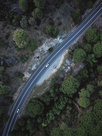 Lush Green Forest Highway Drone View Phone Background