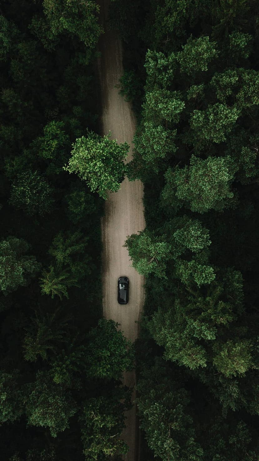 Black car travels along a winding dirt road through a dense green forest canopy from an overhead drone perspective.