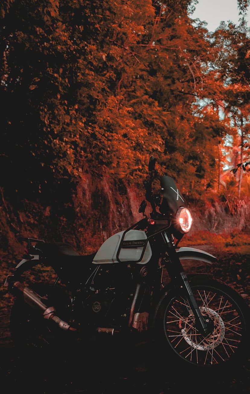 Royal Enfield Himalayan motorcycle with glowing headlight on a forest path surrounded by red autumn leaves.
