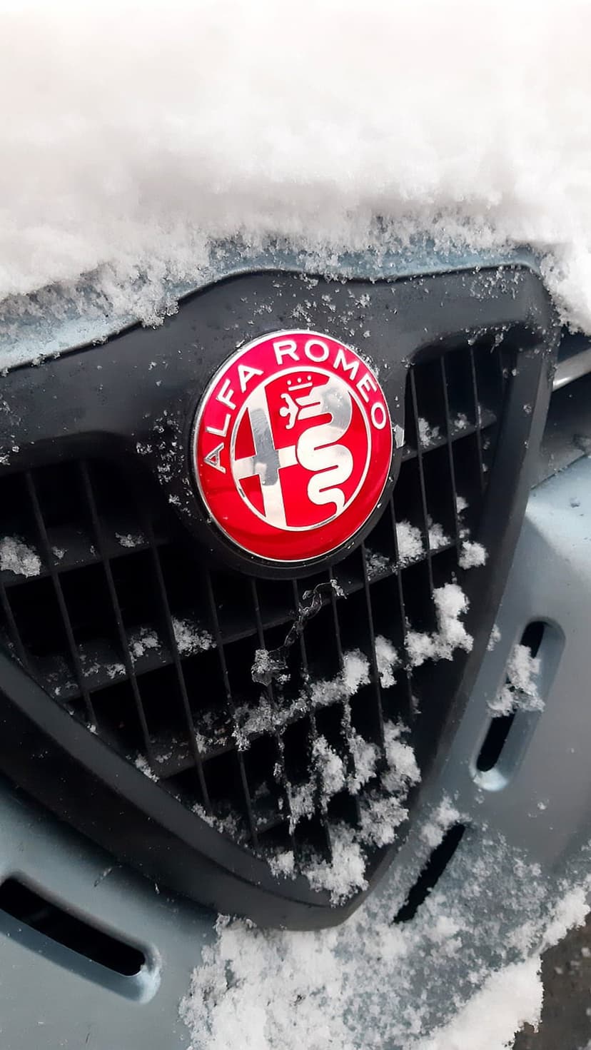 Alfa Romeo emblem centered on a black mesh car grille covered in crystalline snow and frosty ice particles.