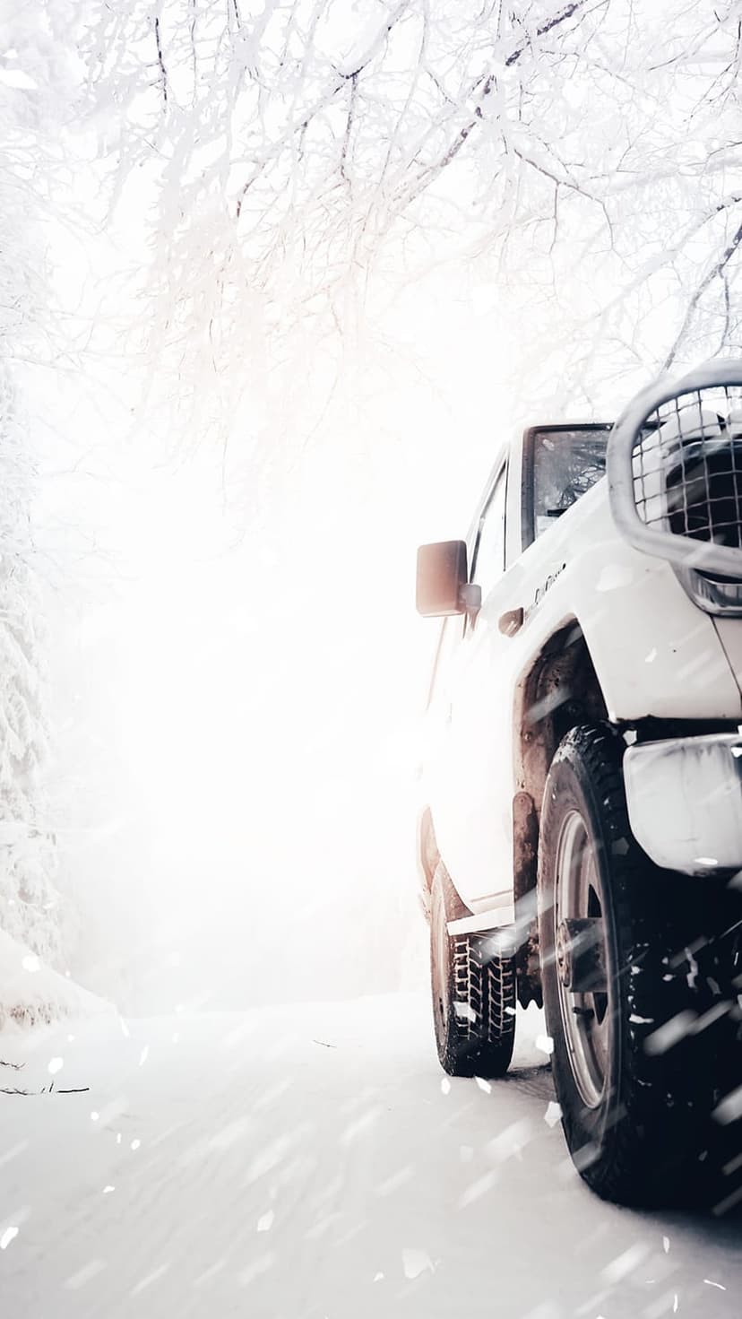 White SUV drives through a dense snowy forest where frost-covered branches hang over a narrow winter road.